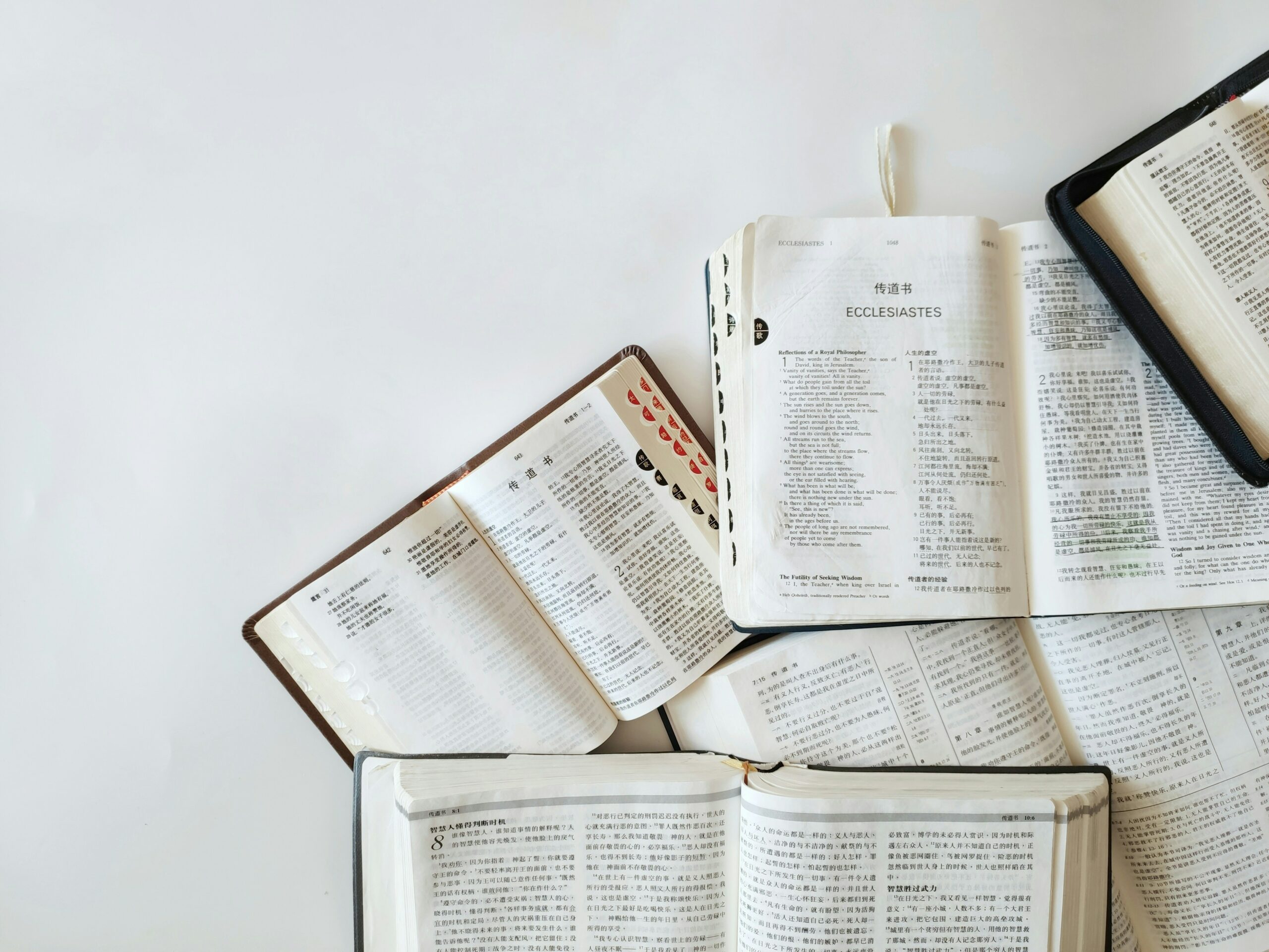 Piles of BIbles